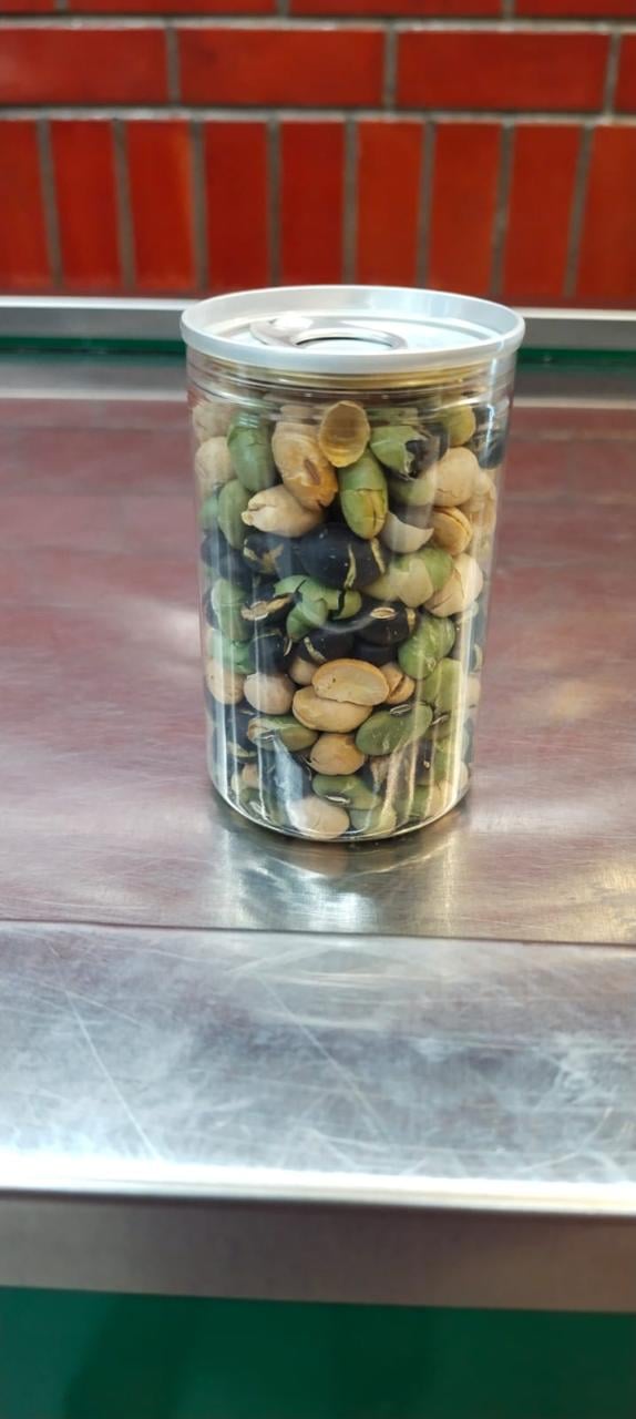 Protein Beans